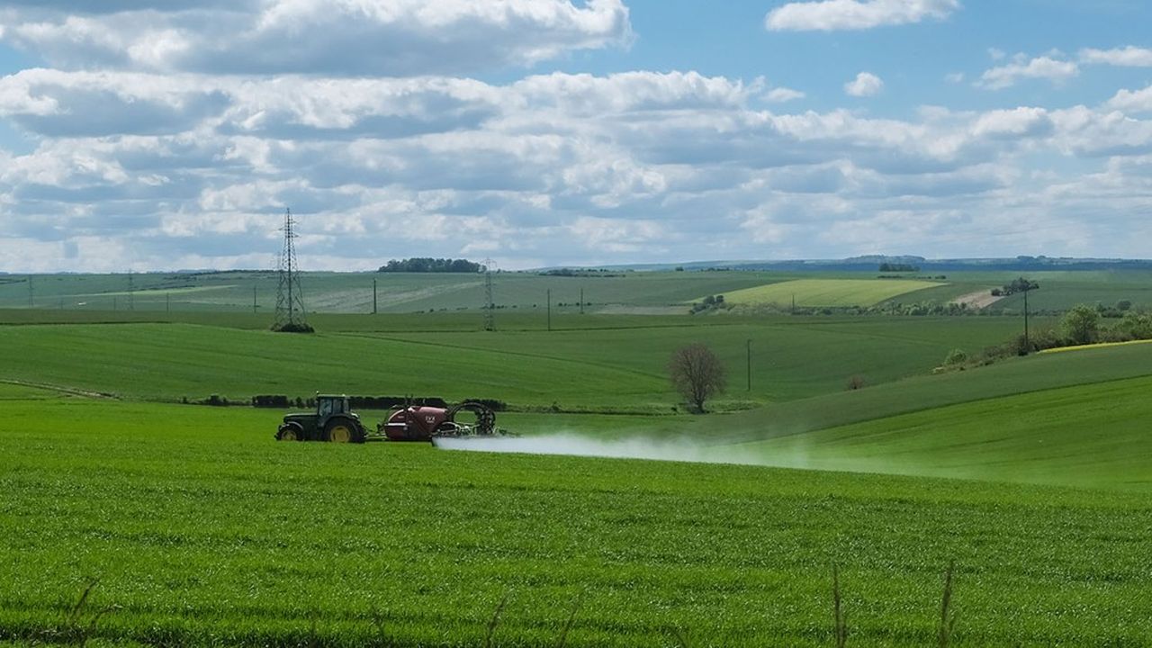 Les ONG rendent certaines pratiques agricoles, comme l'épandage de pesticides, responsables de la perte de biodiversité en France.