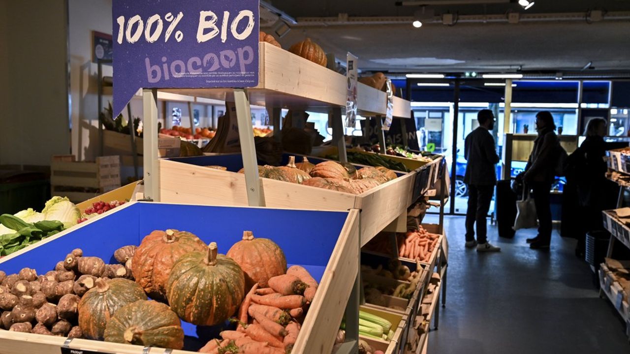 Mille personnes candidatent chaque année pour ouvrir leur magasin Biocoop, pour en moyenne soixante-dix ouvertures effectives.