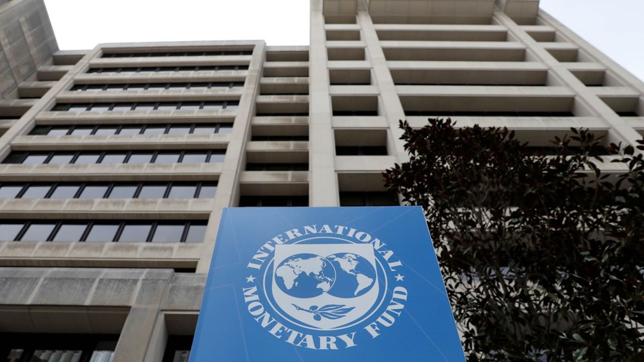 «Le FMI, auquel revient normalement la responsabilité d'intervenir en cas d'urgence, ne montre guère d'empressement pour se confronter à cette tâche»