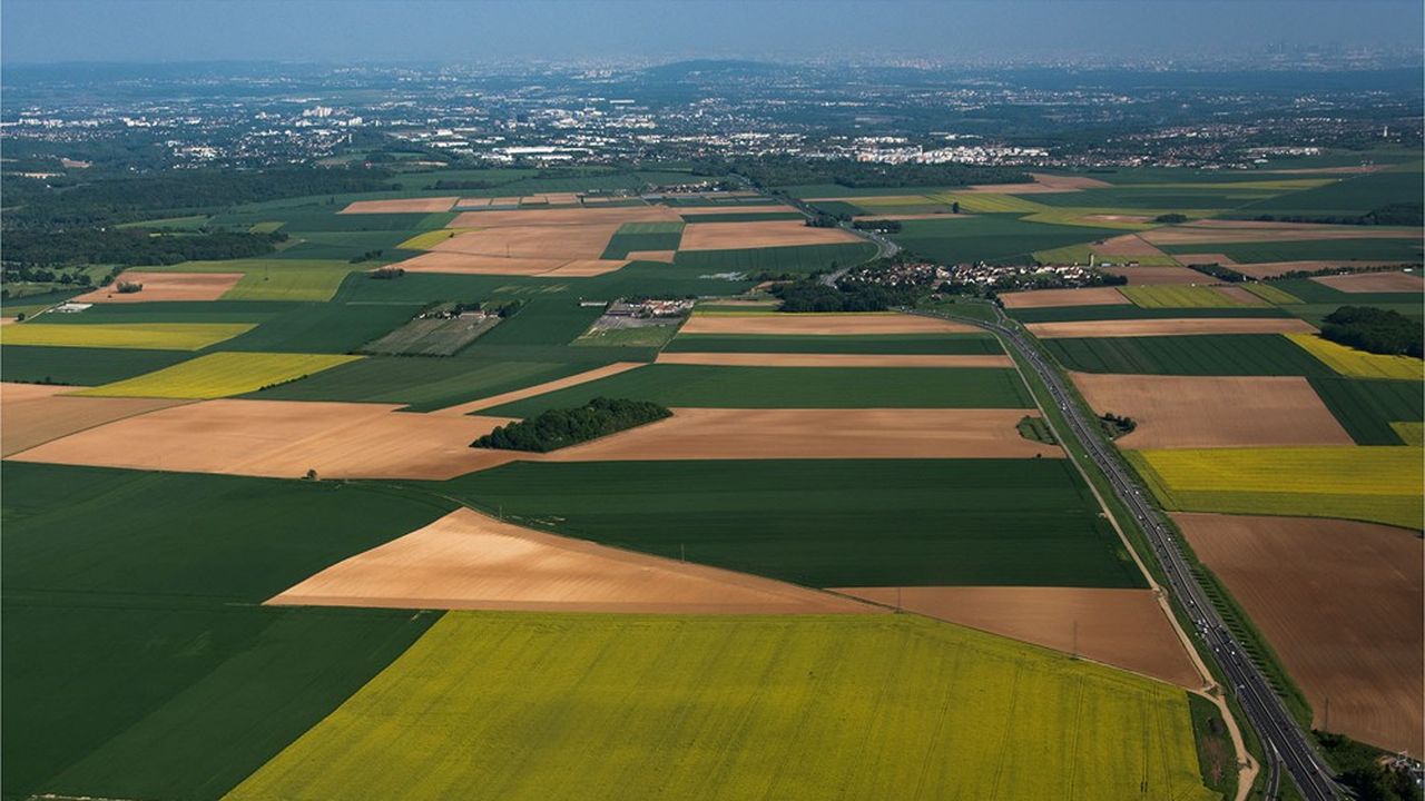 En 2020, le Val-d'Oise comptait 517 exploitations agricoles.