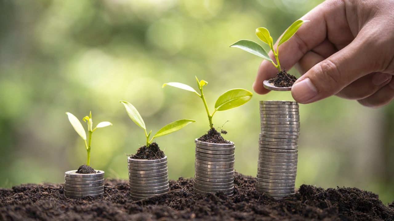 Le nouveau fonds de Raise Ventures, Seed for Good, a déjà bouclé une levée de 40 millions d'euros pour une taille cible de 80 millions euros et une trentaine d'investissements.
