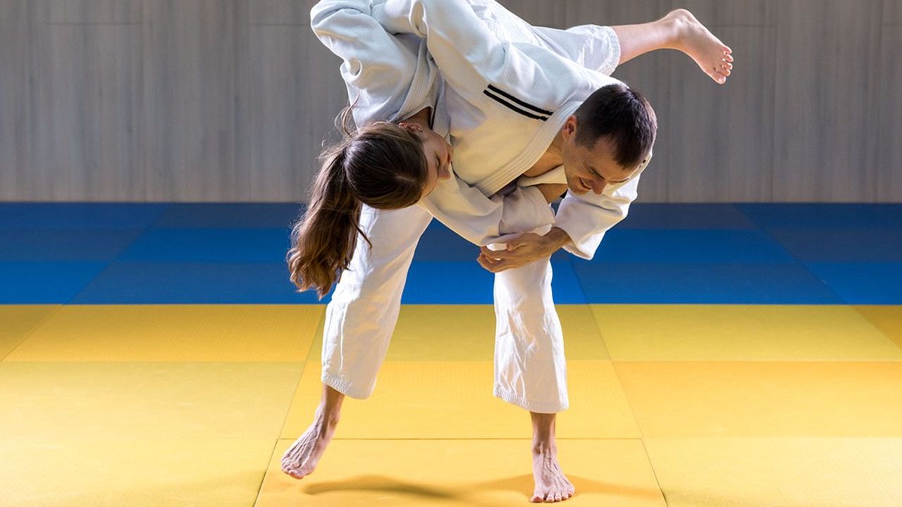 L'université Paris-Nanterre pourra accueillir des délégations olympiques pour leurs entraînements de judo et d'haltérophilie.