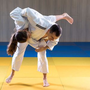 L'université Paris-Nanterre pourra accueillir des délégations olympiques pour leurs entraînements de judo et d'haltérophilie.