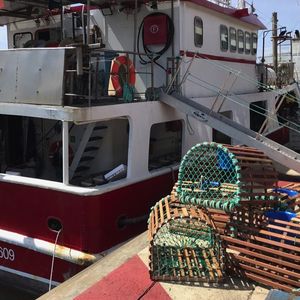 Des casiers à langoustes devant le bateau muni de nouveaux droits de pêche.
