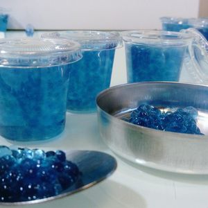 Kyanos Biotechnologies est la première société à produire la microalgue bleue pastel d'eau à petite échelle et à la transformer en compléments alimentaires.