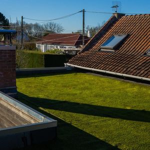 La société a installé 2.000 m2 de toits végétalisés l'an dernier.