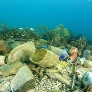 D'ici à 2050, il devrait y avoir plus de plastique que de poissons dans les océans.