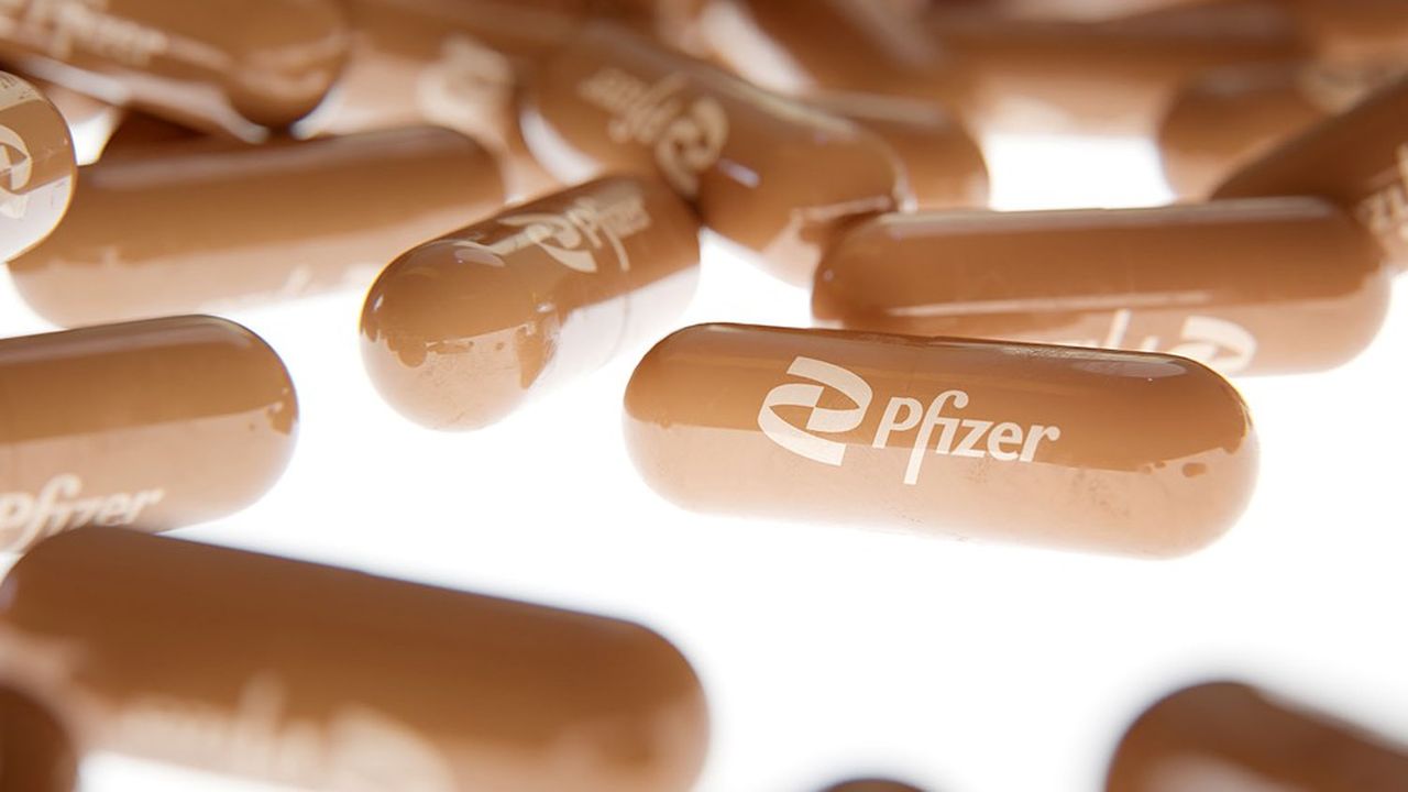 Le groupe américain Pfizer a annoncé en début d'année qu'il allait investir 520 millions d'euros sur cinq ans dans l'Hexagone.