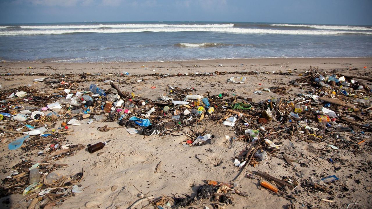 A défaut d'une action urgente, les 11 millions de tonnes de plastique estimées qui pénètrent dans l'océan chaque année seront multipliées par trois au cours des vingt prochaines années, selon l'ONU.
