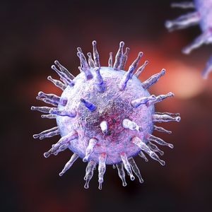 Le virus d'Epstein-Barr est notamment responsable de la mononucléose. Mais aussi, vraisemblablement, de la sclérose en plaques, beaucoup plus redoutable.