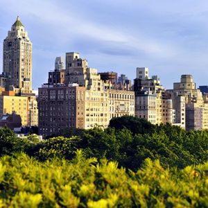 Dans un appartement de New York, Howard Rubin, l'ancienne star du trading, est accusée de s'être livré à des tortures et viols sur six femmes.