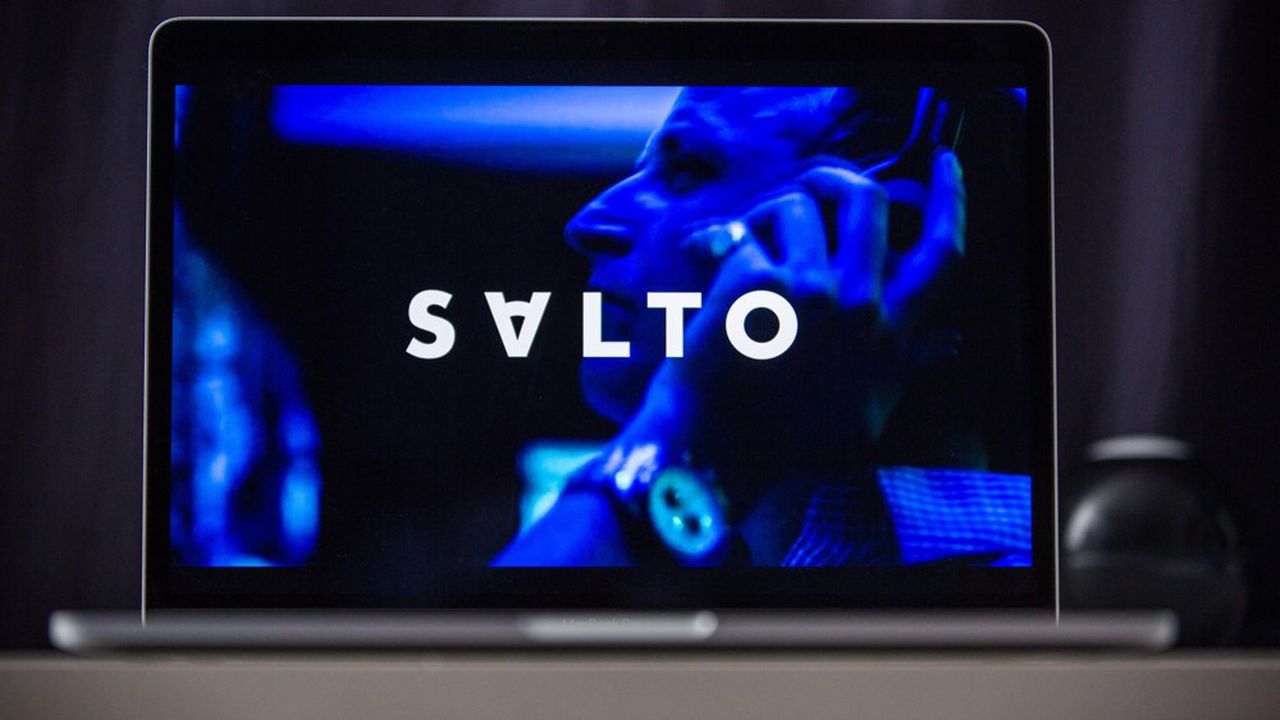 Conference de presse en visio organisee pour annoncer le lancement de la plateforme Salto de SVoD de France Televisions, TF1 et M6