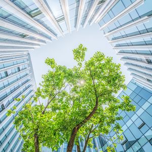 Les investisseurs ISR intègrent à leurs décisions des critères relatifs à l'environnement, au social et à la gouvernance, d'où l'abréviation ESG.
