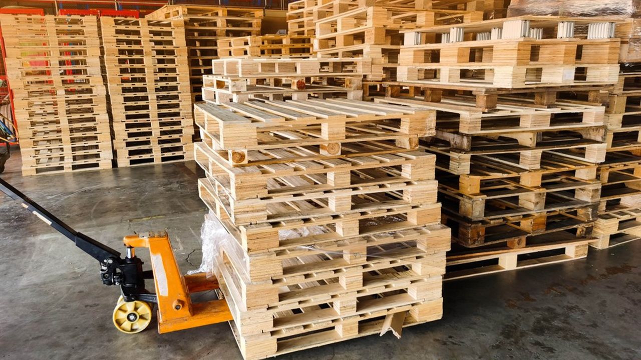 L'Ukraine, la Russie et la Biélorussie fournissent d'ordinaire à certains pays européens 25 % du bois résineux nécessaire à la fabrication des palettes.