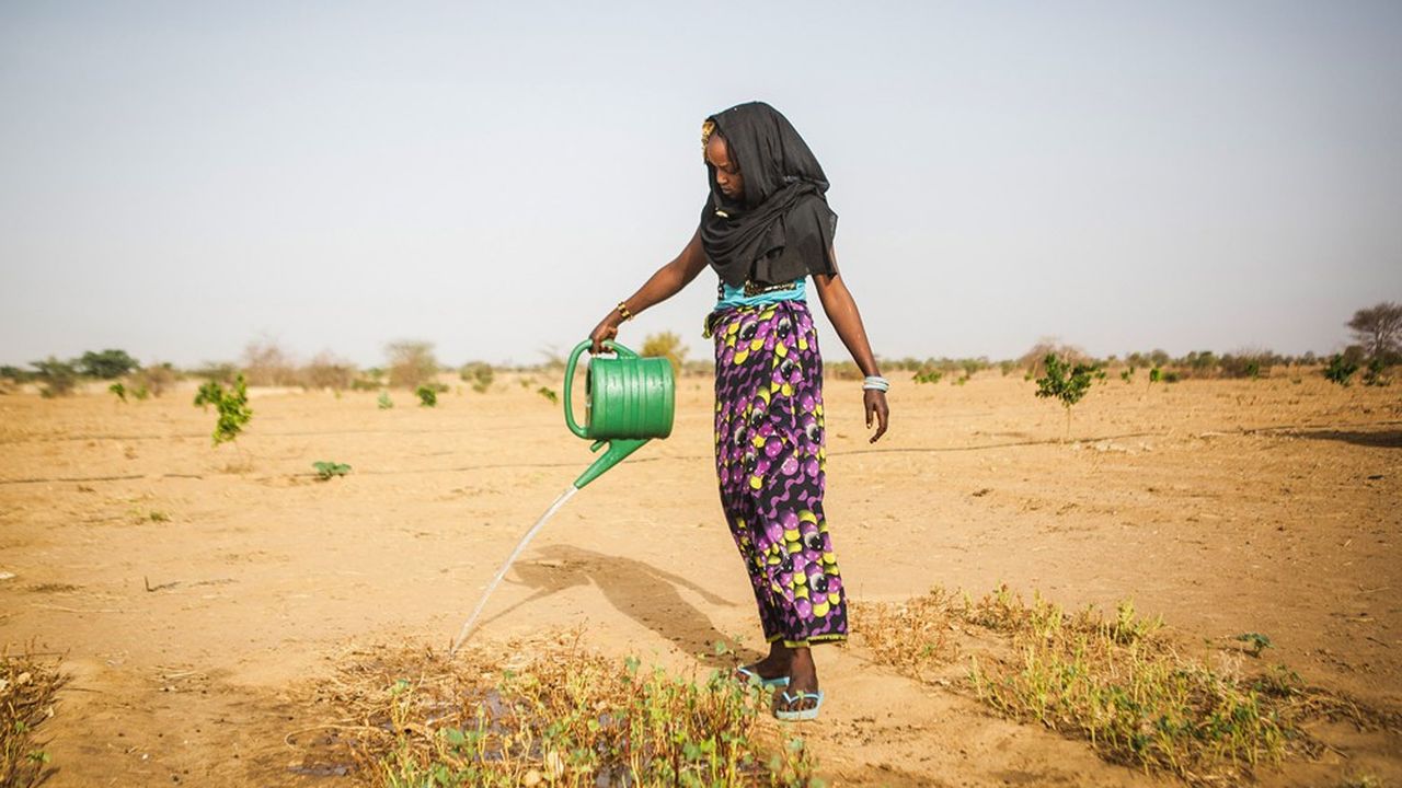 L'Afrique subsaharienne est, avec l'Amérique Latine, le Moyen-Orient et l'Afrique du Nord, la région du globe où la fertilité des sols devrait le plus reculer en raison, notamment, du manque d'eau et des risques de sécheresse aggravée.