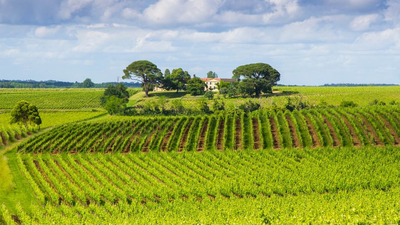 Les vins français sont ceux dont les prix ont le plus augmenté à l'exportation en 2021.