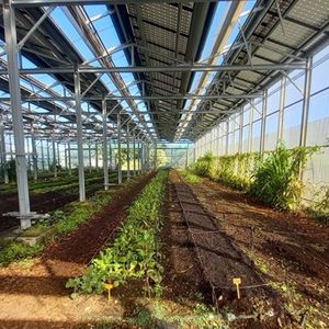 Une « ferme solaire » d'Akuo à La Réunion.