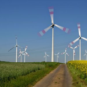 La lenteur des procédures bloque toujours l'installation d'éoliennes en Allemagne.