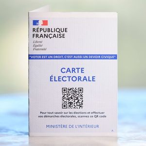 Le vote par Internet n'est autorisé que pour les Français établis hors de France.