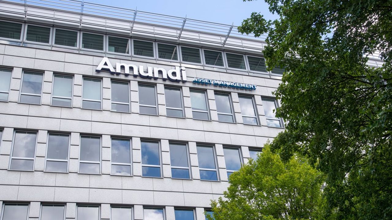 Amundi Compare Les Excès Du Private Equity à Une « Pyramide De Ponzi ...