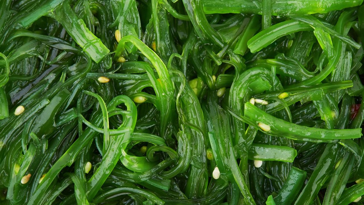Wakamé, dulse, nori Cuisinez les algues avec ces recettes faciles et  gourmandes