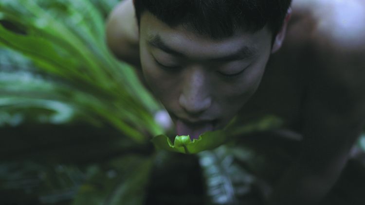 Pteridophilia II, video by Zheng Bo.  Her work is about creating equality for all species. 