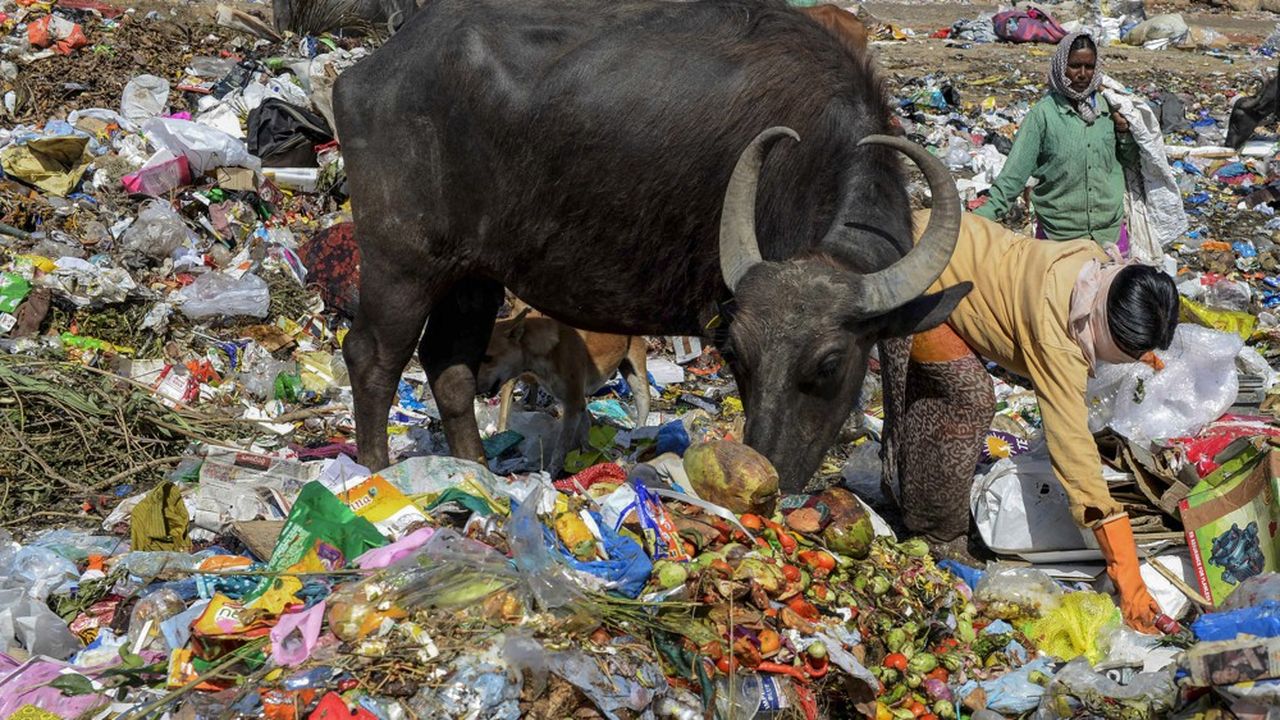 En Inde, le tonnage de déchets plastiques devrait être multiplié par 5,5 d'ici 2060, selon un rapport de l'OCDE.