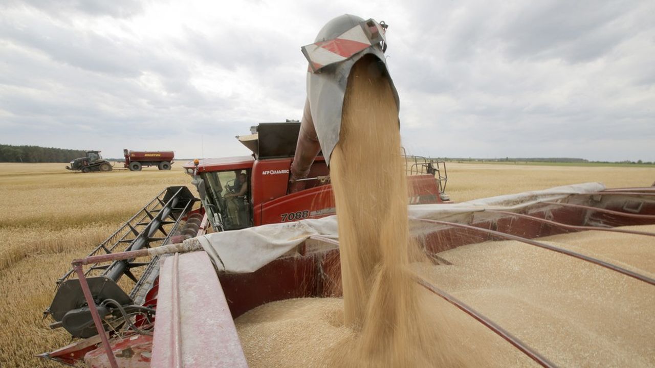Polska stawia się na wojnę, aby pomóc Ukrainie w eksporcie pszenicy