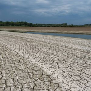 Les étangs des Dombes à sec dans le département de l'Ain, l'un des plus touchés en France par la forte sécheresse.