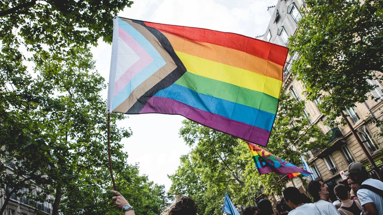A l'appel de plusieurs collectifs et associations, plusieurs milliers de personnes ont manifeste lors d'une « Pride Radicale » antiraciste, anti-impérialiste, et pour les droits des personnes migrantes a Paris entre la Place de la Nation et la Place de la République.
