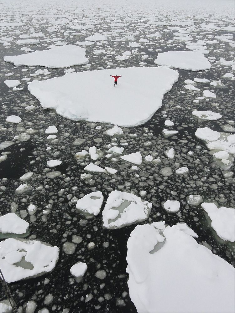L'aventurière sur un bloc de glace en Antartique en 2014