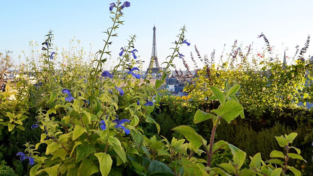 La terrasse de Sous les fraises donnant sur l’avenue des Champs-Elysées et la Tour Eiffel