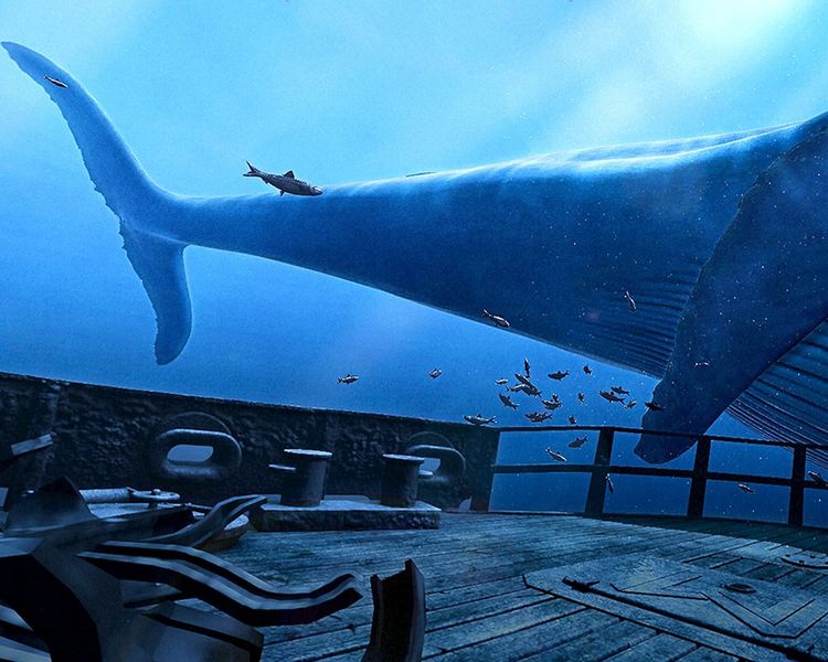 Marcher sur la proue d'une épave et se retrouver nez à nez avec une baleine grâce à la réalité virtuelle.