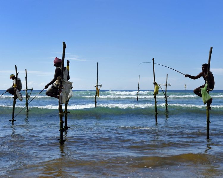 Les pêcheurs de Galle, au sud de l'île