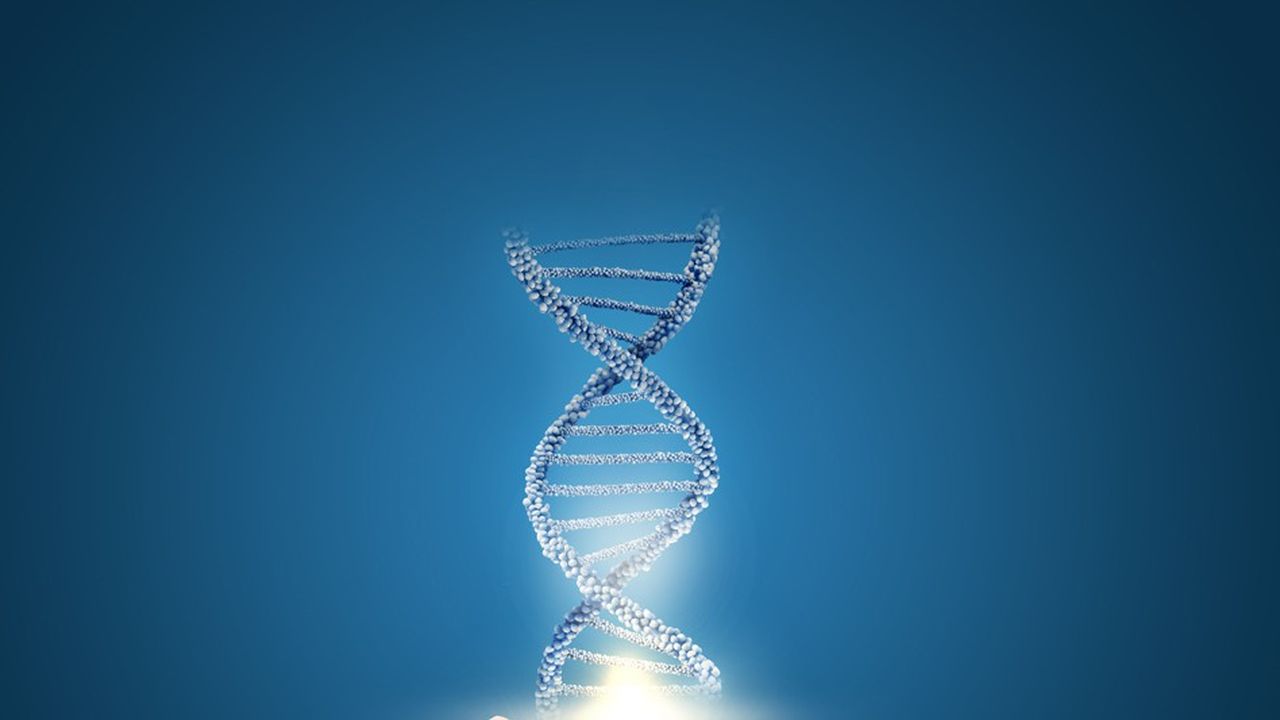 Healthy Monday  : L'héritage de l'ADN