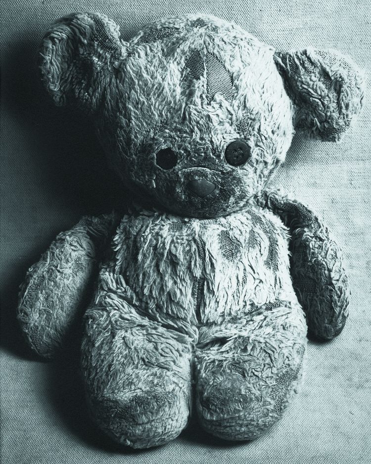 Le teddy bear de Victor Demarchelier (2008)