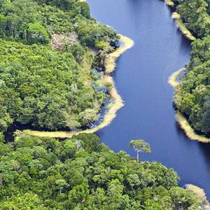 Brésil, Amazonie, Vue aérienne d'un ipago, Black Water Creek, près de Manaus