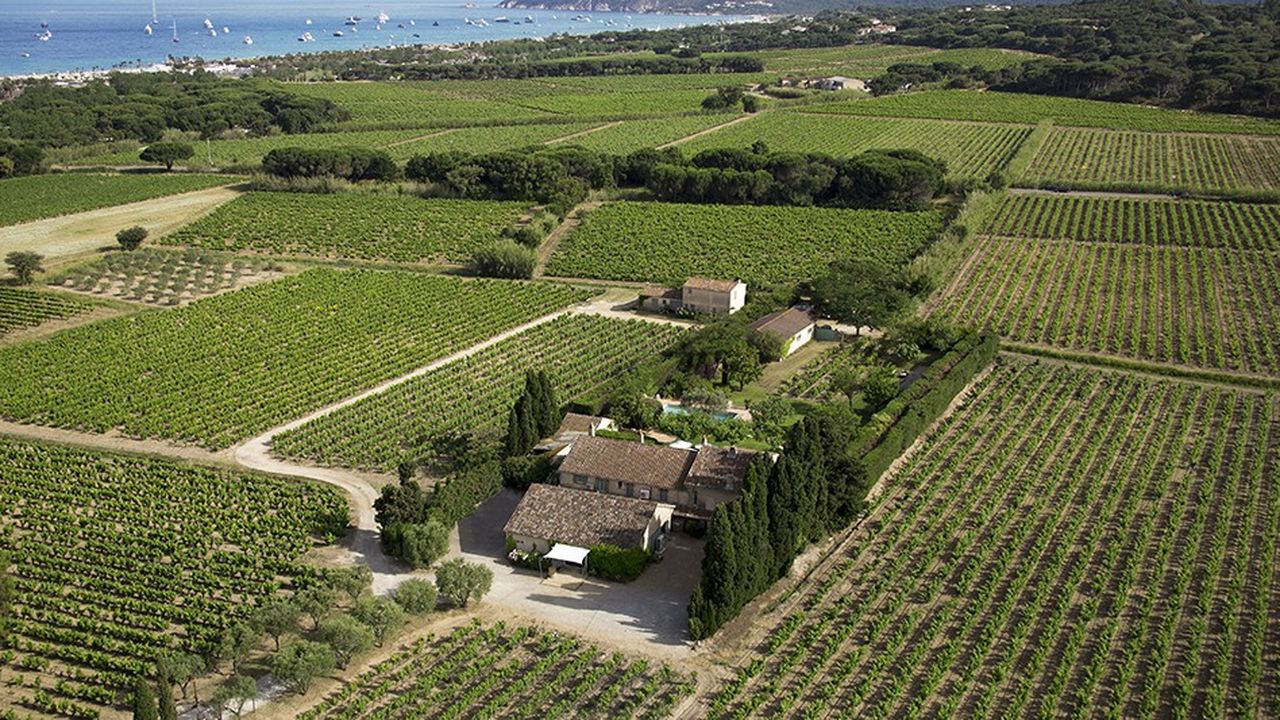 Le Mas de Pampelonne, un des domaines des Maîtres Vignerons de la presqu'île de Saint-Tropez.