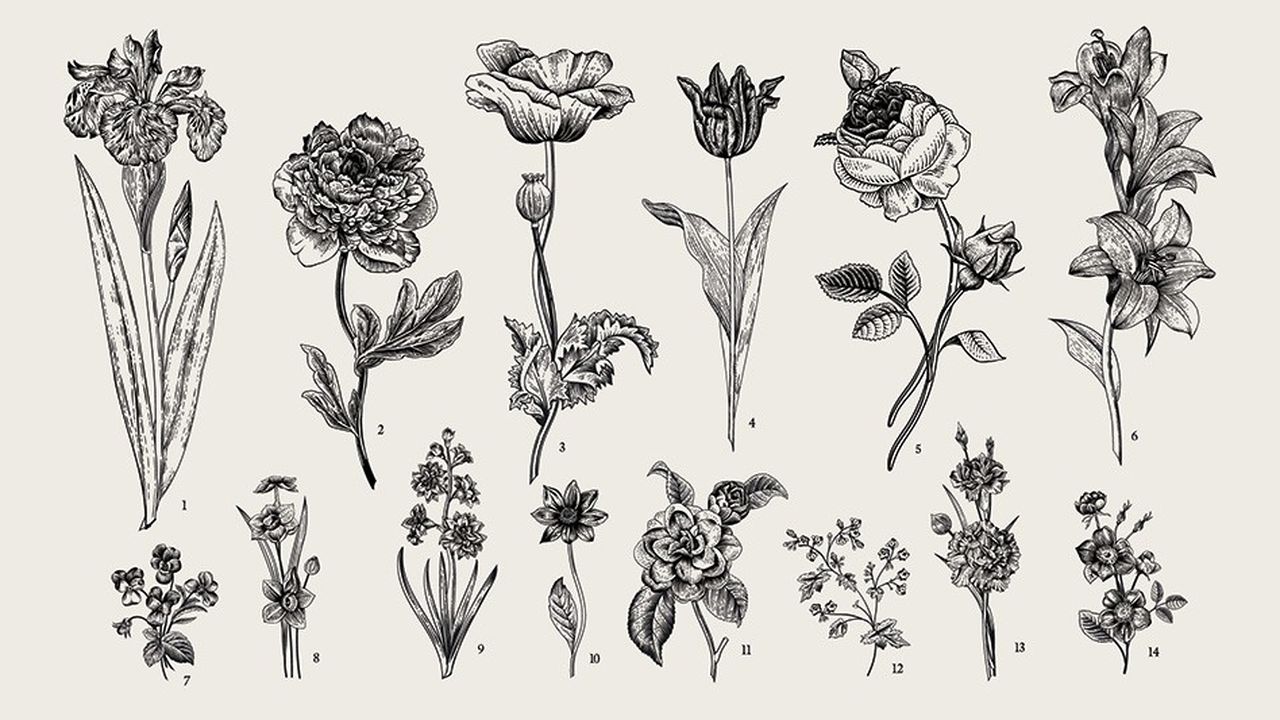 1. Iris, 2. Pivoine, 3. Coquelicot, 4. Tulipe, 5. Rose, 6. Lys, 7. Violette, 8. Narcisse, 9. Jacinthe, 10. Dahlia, 11. Camellia, 12. Phacélie, 13. Oeillet, 14. Rosier des chiens.
