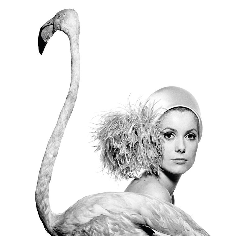 DAVID BAILEY (1938)«Catherine Deneuve, Flamingo» 1966. Tiré en 2020