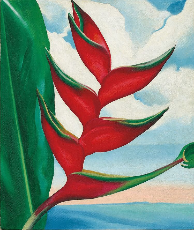Georgia O'Keeffe, «Crab's Claw Ginger Hawaii» (1939). Une oeuvre rare de l'artiste qui résonne avec la grande retrospective atuellement en cours au Centre Pompidou.