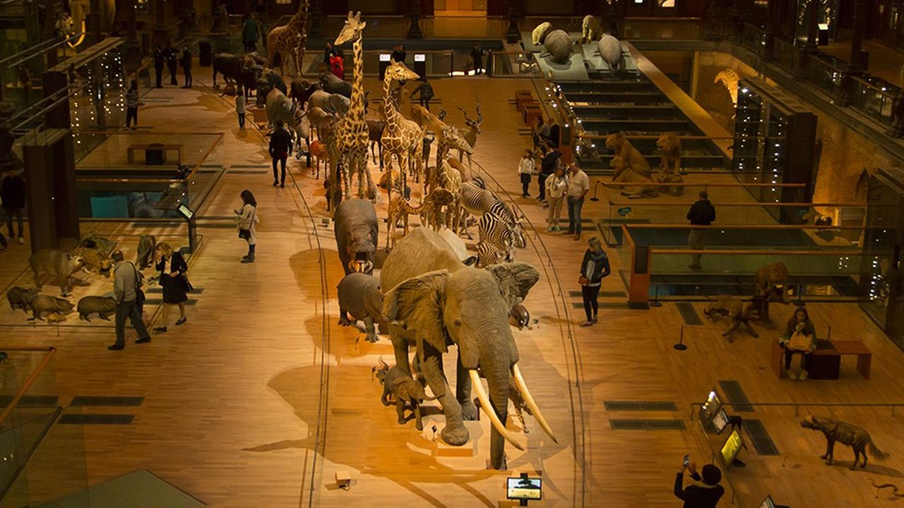 La Grande Galerie de l'Evolution au Muséum national d'Histoire naturelle, à Paris.
