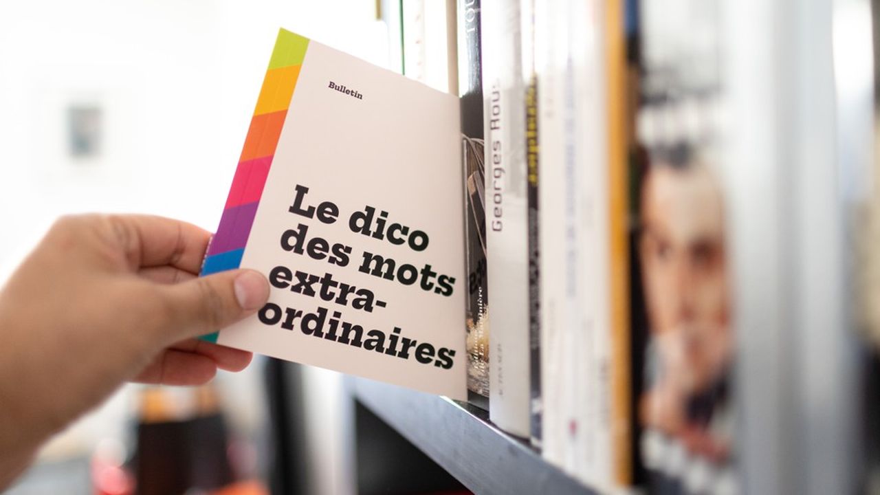 « Le Dico des mots extraordinaires », de Jean Abbiateci. Bulletin, 132 pages, 20 euros.