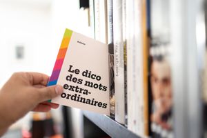 « Le Dico des mots extraordinaires », de Jean Abbiateci. Bulletin, 132 pages, 20 euros.