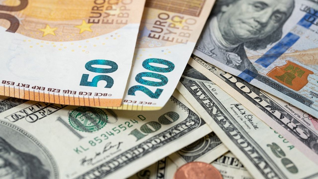 Depuis le début de l'année, l'euro a perdu 11 % de sa valeur par rapport au dollar.