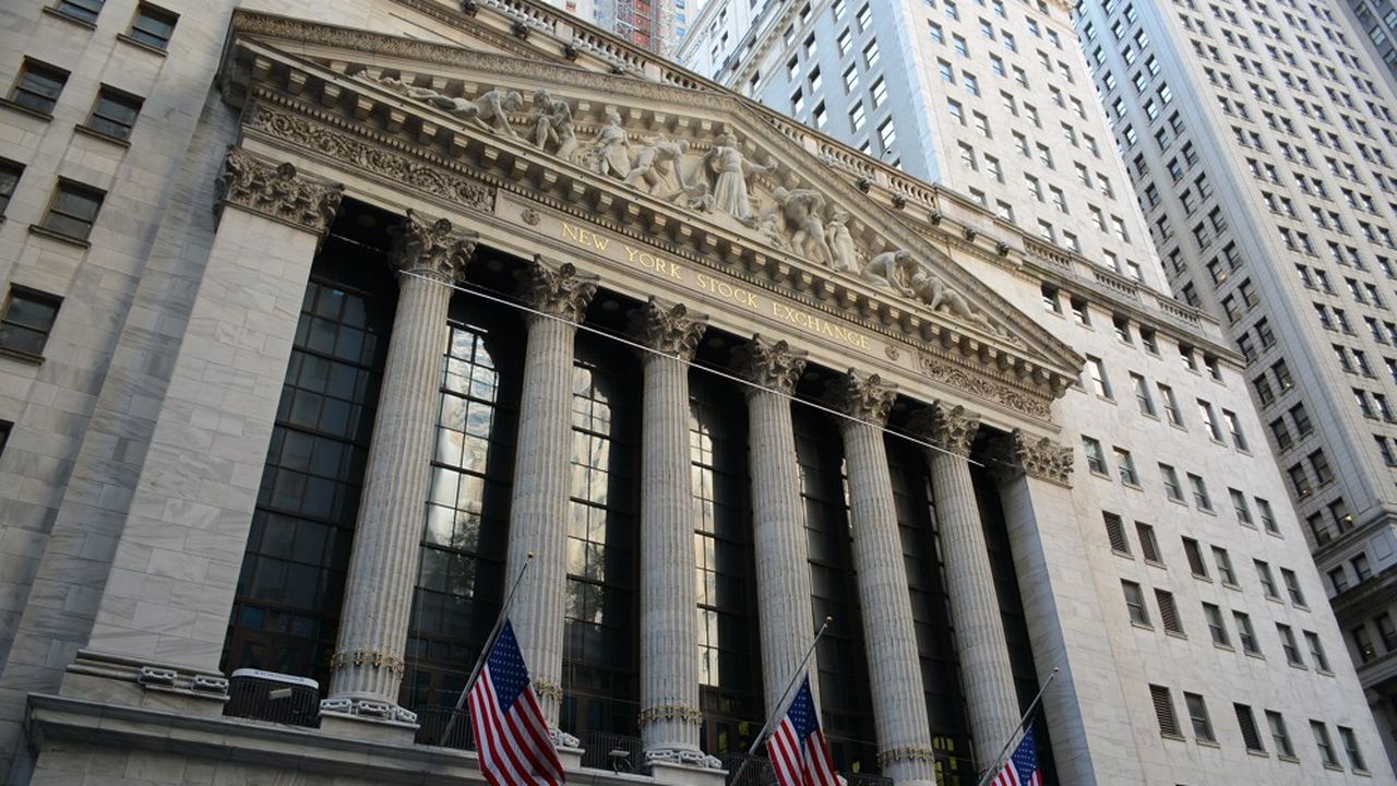 Le plongeon de Wall Street a facilité la tâche des vendeurs à découvert cette année en confortant certaines de leurs thèses.