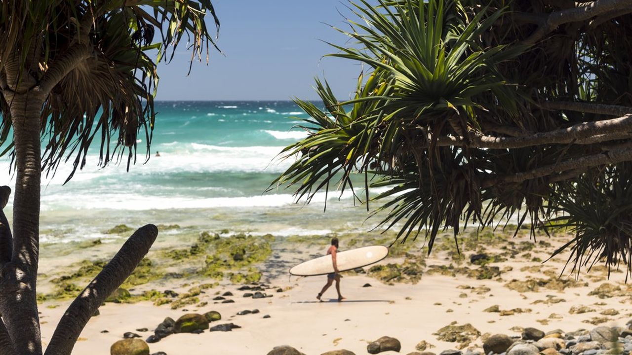 Située à la pointe orientale de l'Australie, une position géographique idéale où se forment de très belles vagues, Byron Bay, en Nouvelle-Galles du Sud, est l'une des destinations les plus prisées des surfeurs.