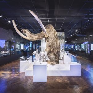 Chargeurs travaille sur la scénographie de grands musées, comme ici en Angleterre