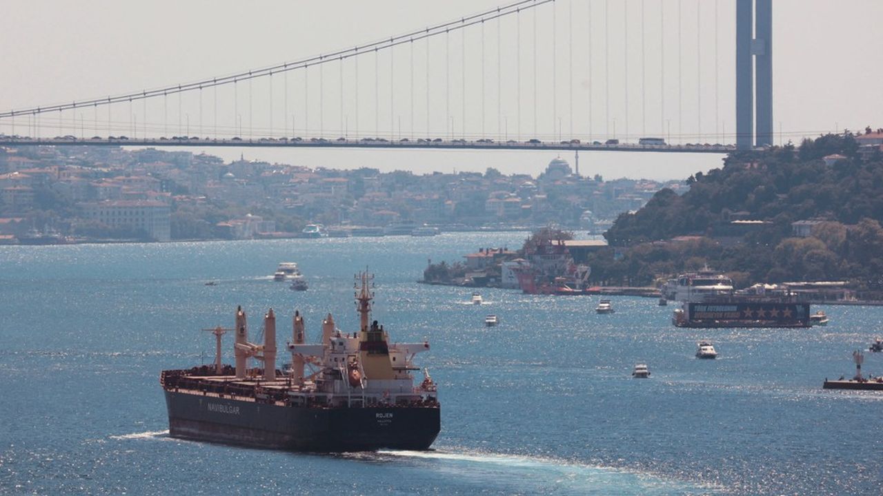 Le cargo turc « Polarnet » est parti, ce vendredi, du port ukrainien de Tchornomorsk à destination d'Istanbul.
