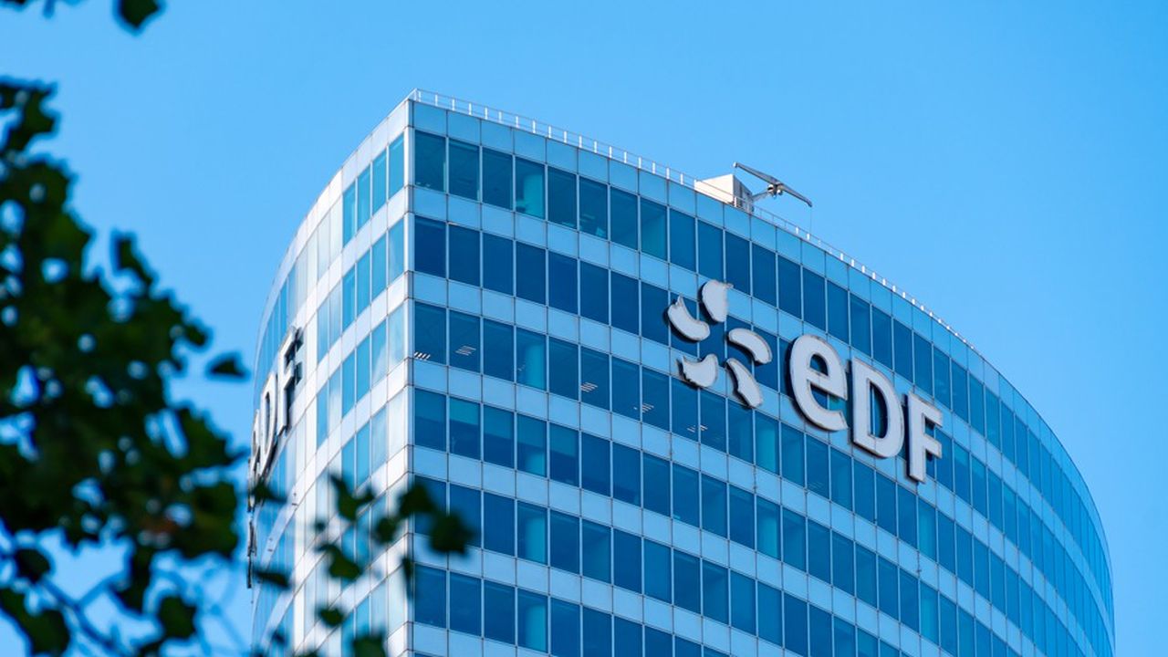 EDF n'a pour l'instant déposé qu'une demande amiable d'indemnisation auprès de l'Etat, selon la représentante d'actionnaires minoritaires Colette Neuville.